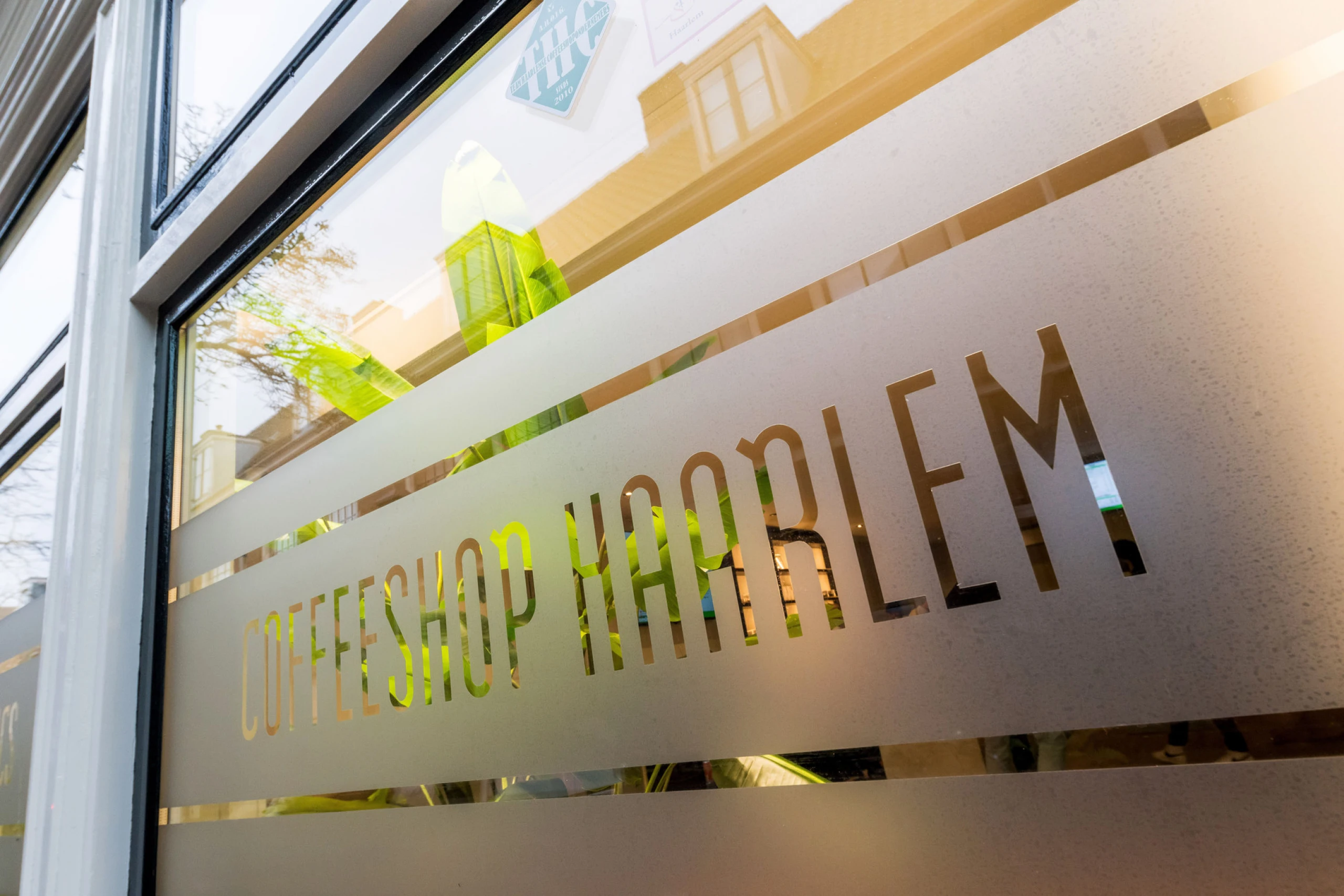 Ven a visitar el Coffeeshop Haarlem