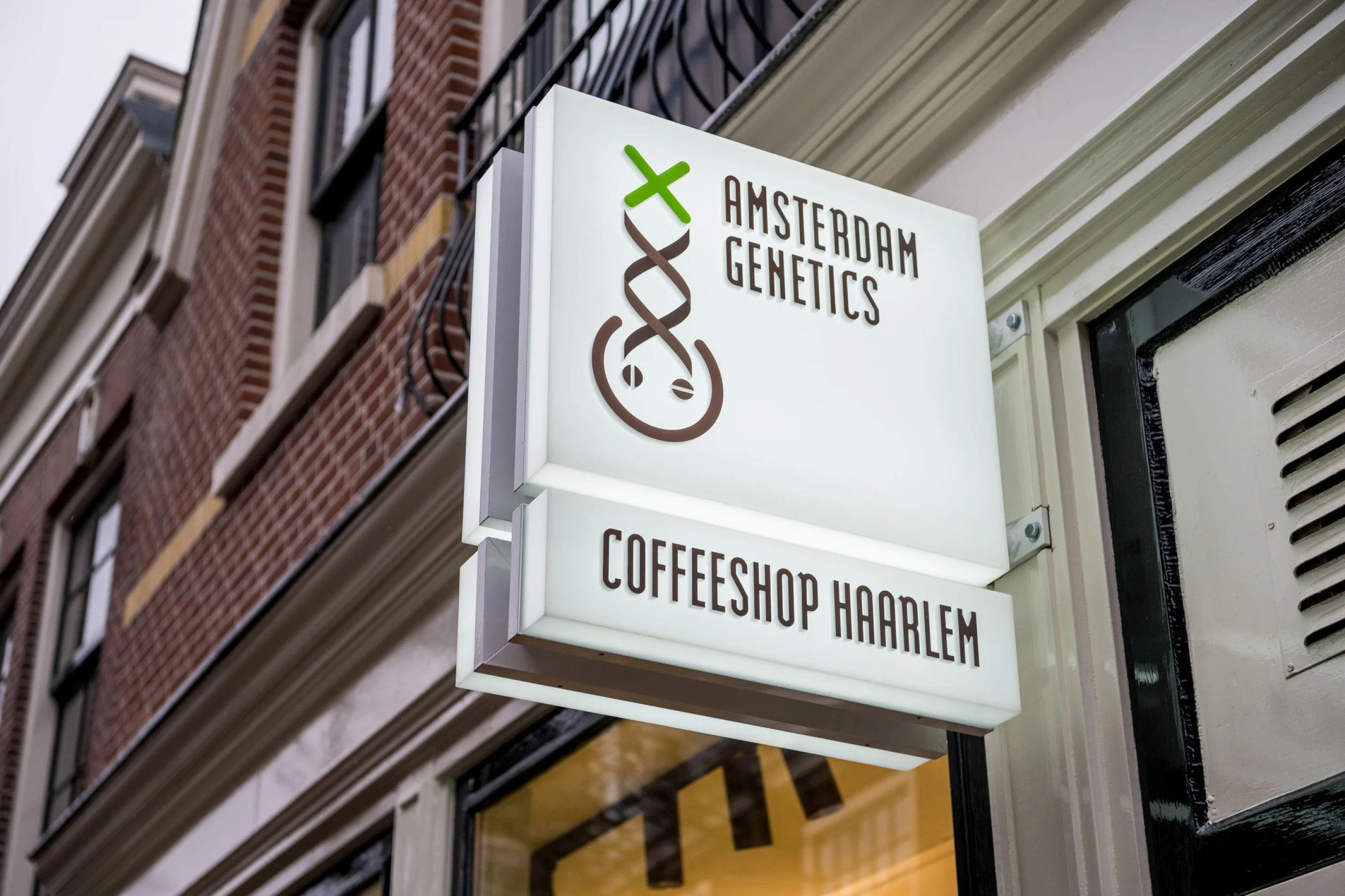 Cafetería Haarlem